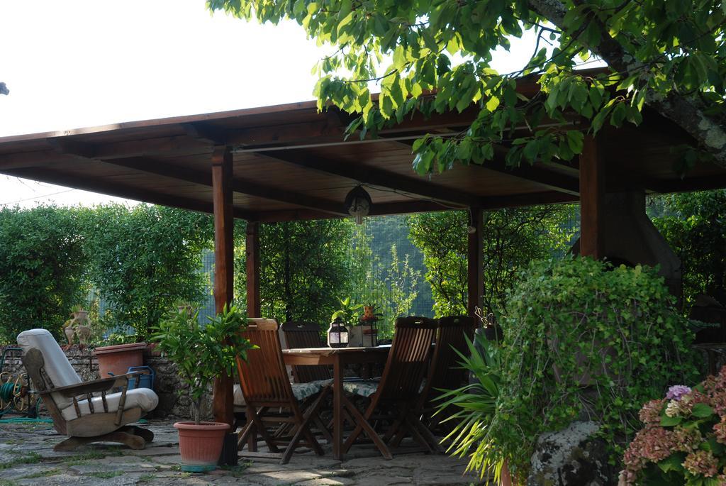 Podere Le Buche Pelago エクステリア 写真