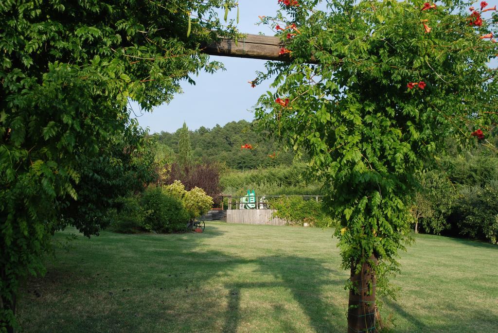 Podere Le Buche Pelago エクステリア 写真